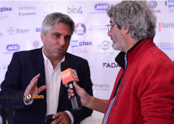 Una cosecha récord en un país con pobreza récord: La explicación del periodista Maxi Montenegro