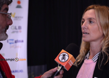 Una cosecha récord en un país con pobreza récord: la explicación de la economista Carolina Bondolich