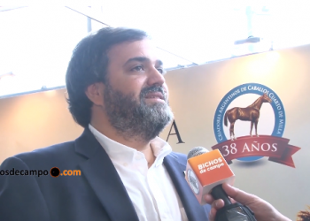 José Ignacio de Mendiguren, de Cuarto de Milla: “Ninguno gana dinero criando caballos”