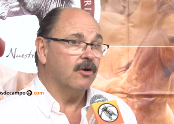 Gustavo Aguerre: “El criollo es el caballo que hizo nuestra historia”