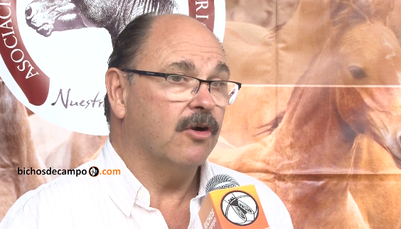 Gustavo Aguerre: “El criollo es el caballo que hizo nuestra historia”