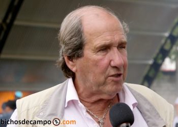 Jorge Bonino: “En Uruguay se garantiza el abasto de carne roja al mercado interno, pero es cara”