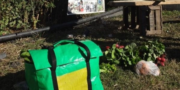 Promueven un bolsón ecológico para reemplazar las bolsas plásticas