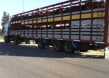 Manolo Lamas: “A los jauleros se nos va la vida en los frigoríficos”