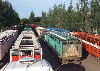 Manolo Lamas: “A los jauleros se nos va la vida en los frigoríficos”