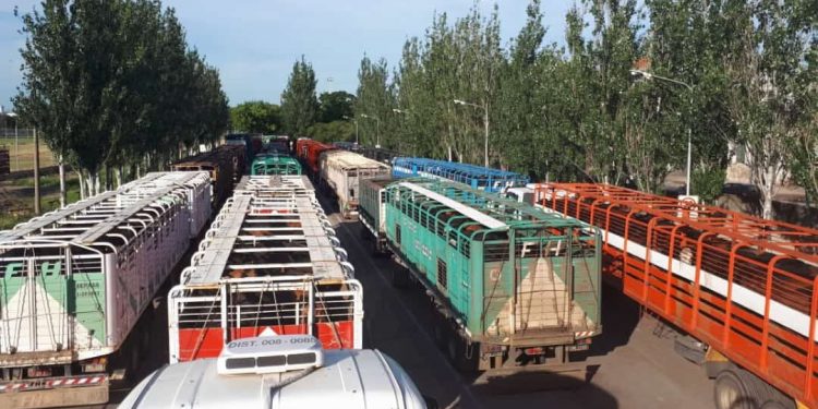 Manolo Lamas: “A los jauleros se nos va la vida en los frigoríficos”