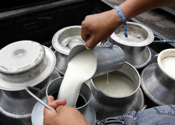 Crónicas robadas: “El lechero vuelve a pasar por casa, como en los viejos tiempos”