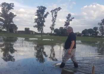 Pablo Orsolini, tras la inundación en el Chaco: “El agua que se retira deja los campos con pasto podrido”