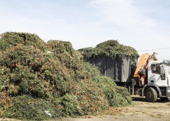 El Gobierno fijó un plan de acción para el desarrollo de los biomateriales