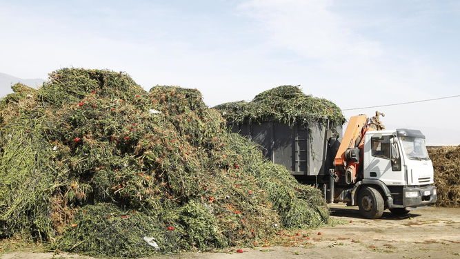 El Gobierno fijó un plan de acción para el desarrollo de los biomateriales