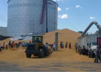 Lanzan un protocolo para que no haya más explosiones en los grandes silos de Santa Fe