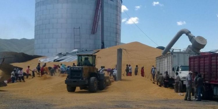 Lanzan un protocolo para que no haya más explosiones en los grandes silos de Santa Fe