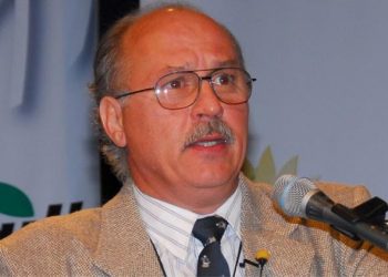 Guillermo Pozzi Jaúregui: “Se observa una alta demanda europea por el girasol alto oleico”