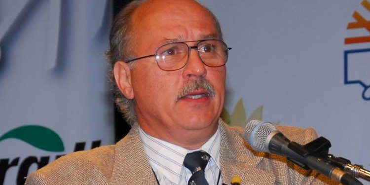 Guillermo Pozzi Jaúregui: “Se observa una alta demanda europea por el girasol alto oleico”