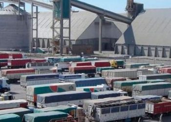 La industria más poderosa de la Argentina puede moler unos 7.000 camiones de soja por día