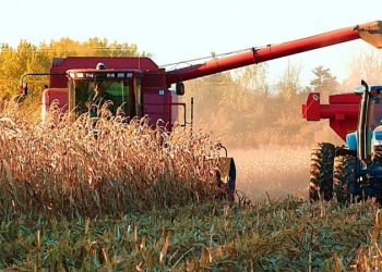 Si soplamos todos llegamos a 150: Aumentaron la estimación de cosecha récord a 147 millones de toneladas
