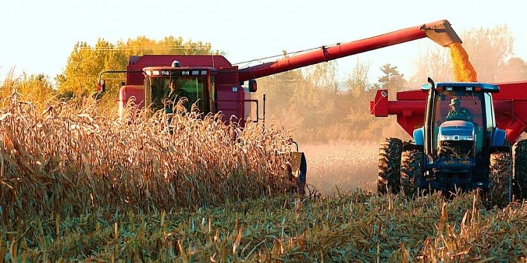 Si soplamos todos llegamos a 150: Aumentaron la estimación de cosecha récord a 147 millones de toneladas