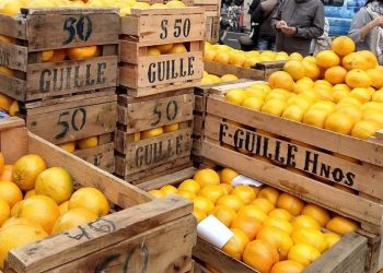 Parece increíble pero resulta cierto: Denuncian que en la cadena de la naranja, el único que no tiene ganancias es quien produce la fruta