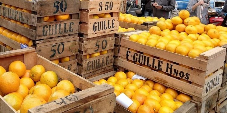 Parece increíble pero resulta cierto: Denuncian que en la cadena de la naranja, el único que no tiene ganancias es quien produce la fruta