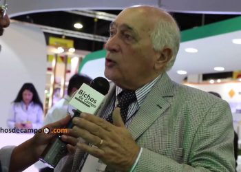 Roberto Domenech: “Lo que falta en el sector pollero es que los precios se acomoden a los costos”