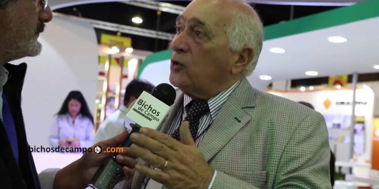 Roberto Domenech: “Lo que falta en el sector pollero es que los precios se acomoden a los costos”