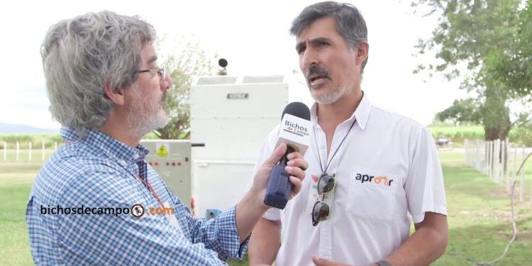 Roberto Palomo: “No puede ser que un exportador tan grande como AGD tenga la concesión de un ferrocarril”