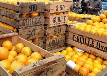 ¿De acuerdo con el acuerdo? Los citricultores avalan, pero quieren ver “la letra chica”