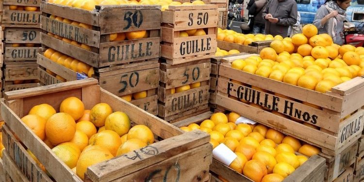 ¿De acuerdo con el acuerdo? Los citricultores avalan, pero quieren ver “la letra chica”