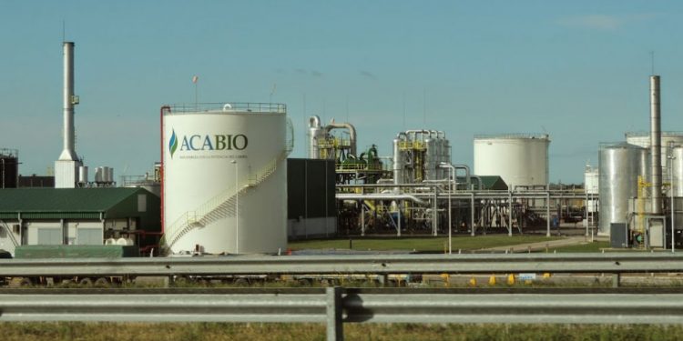 Agro-grafías: La Argentina produce bioetanol en 18 plantas, trece desde la caña y cinco desde el maíz