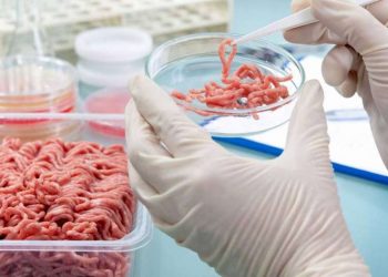 “Me niego a llamarla carne”, dice un dirigente ganadero sobre la nueva ‘carne sintética’ de laboratorio