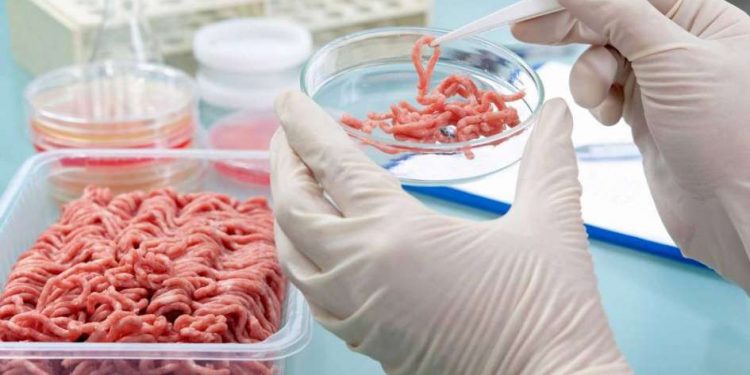 “Me niego a llamarla carne”, dice un dirigente ganadero sobre la nueva ‘carne sintética’ de laboratorio