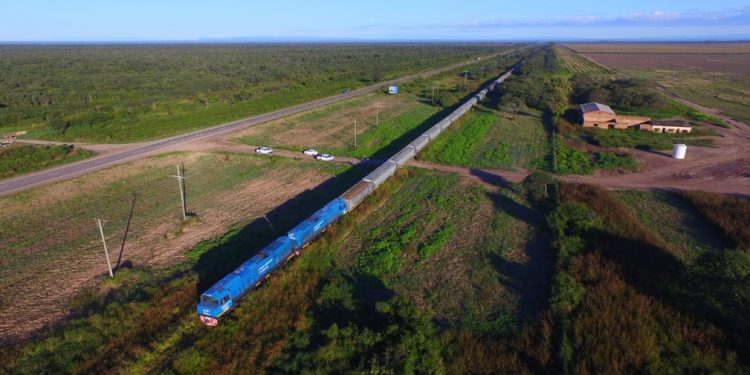 Los cien vagones del Belgrano Cargas, de nuevo sobre las vías