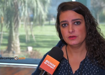 ¿Cómo se miden en la Argentina las emisiones de gases que producen el efecto invernadero?