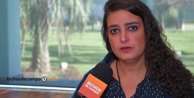 ¿Cómo se miden en la Argentina las emisiones de gases que producen el efecto invernadero?