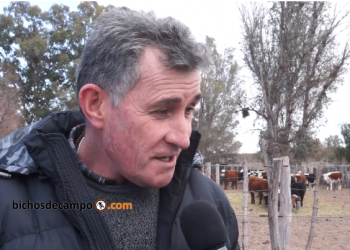 En el 107° Aniversario de la Federación Agraria, Carlos Achetoni reconoce grandes dificultades para financiar la actividad gremial
