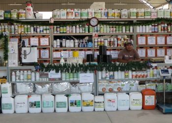 Infractores online: Luego de un año de patrullaje digital, Senasa detectó más de 40 mil publicaciones en infracción