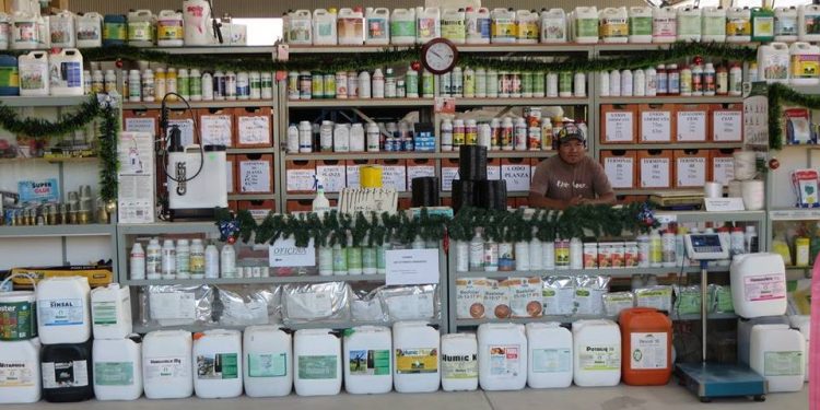 Infractores online: Luego de un año de patrullaje digital, Senasa detectó más de 40 mil publicaciones en infracción