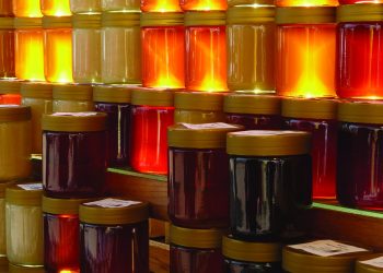 Estados Unidos investiga la miel argentina por presunto dúmping: La situación provoca cortocircuitos en torno al precio para los apicultores locales