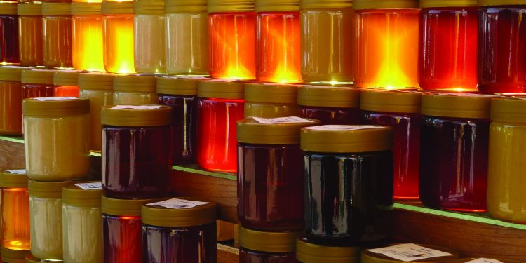 Estados Unidos investiga la miel argentina por presunto dúmping: La situación provoca cortocircuitos en torno al precio para los apicultores locales