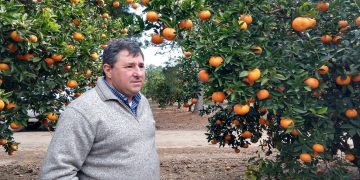 Fernando Borgo: “Los citrícolas nos hemos ido mediocrizando y hoy luchamos por sobrevivir”