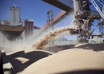 Salió como chorro: En tiempo récord, China habilitó a siete grandes plantas de harina de soja argentina
