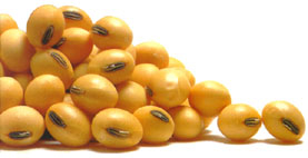 ¿Por qué los exportadores comenzaron a  quejarse a viva voz por la baja proteína de la soja argentina?