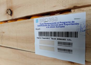 Los hermanos Toller empezaron a exportar naranjas directo a Europa: “Existen oportunidades de negocios, pero hay que saberlas buscar”