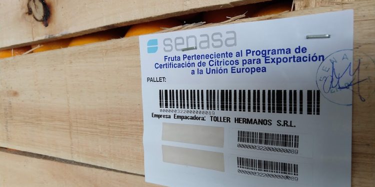 Los hermanos Toller empezaron a exportar naranjas directo a Europa: “Existen oportunidades de negocios, pero hay que saberlas buscar”