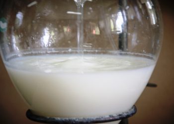 ¿Qué es el sanitizador? Un equipo raro hecho por INTA para eliminar patógenos de la leche