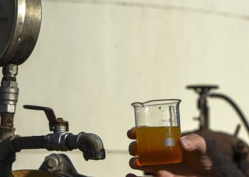 Denuncian que, desde las PASO, están paradas las 26 Pymes fabricantes de biodiésel