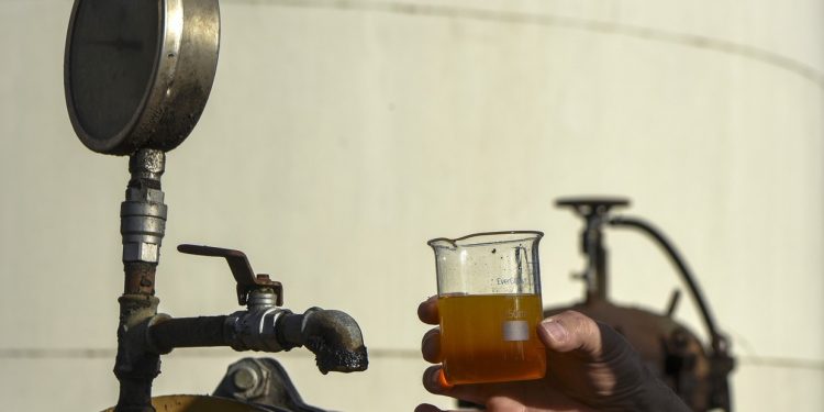 Denuncian que, desde las PASO, están paradas las 26 Pymes fabricantes de biodiésel