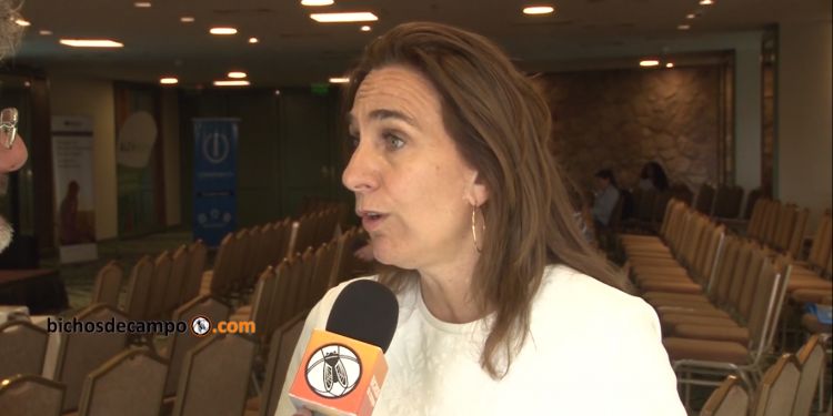 La salteña Milagros Patrón Costa pide tener “una mirada federal” para lograr el desarrollo de las provincias más lejanas