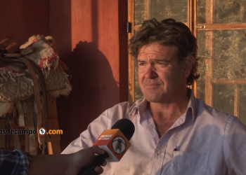 Ignacio Pisani: “Si al Belgrano Cargas lo manejan dos multinacionales, los beneficios serán solo para ellas”