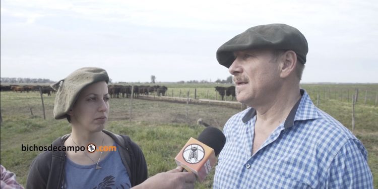 Los Lorens cuentan cómo hacen para meter 1,7 vacas por hectárea en la Cuenca del Salado, regenerado además el suelo